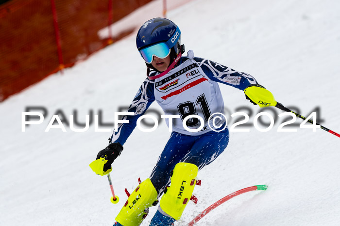 DSV - ELK Deutscher Schülercup U12 Finale SLX