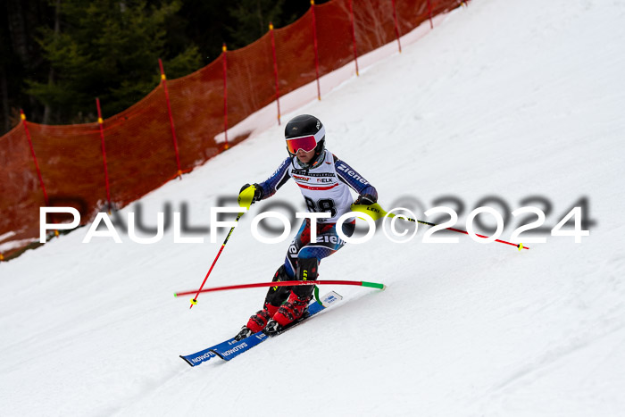 DSV - ELK Deutscher Schülercup U12 Finale SLX