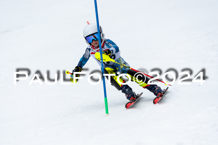 DSV - ELK Deutscher Schülercup U12 Finale SLX