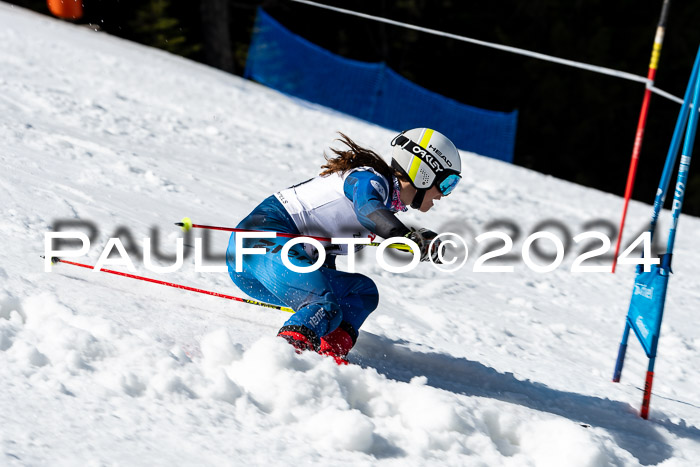 BZB Cup Finale, 29.03.2024