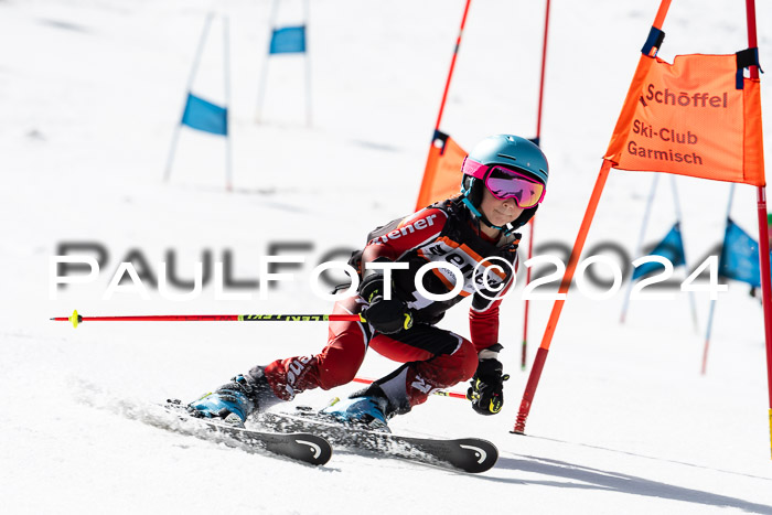 Ziener Cup Finale WF PSL, 30.03.2024 