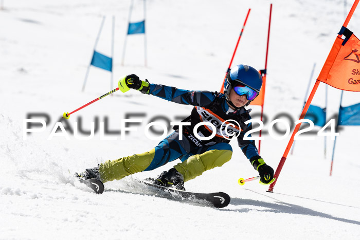Ziener Cup Finale WF PSL, 30.03.2024 