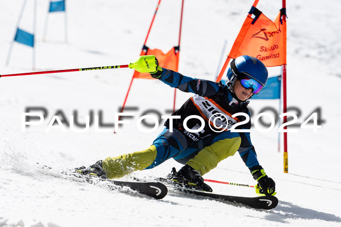 Ziener Cup Finale WF PSL, 30.03.2024 