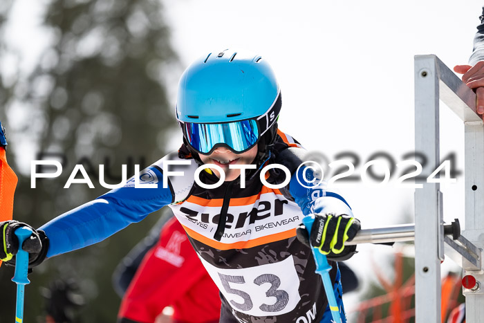 Ziener Cup Finale WF PSL, 30.03.2024 