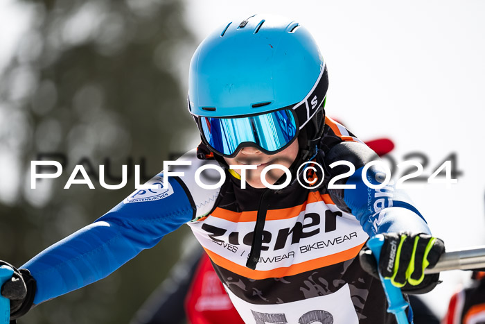 Ziener Cup Finale WF PSL, 30.03.2024 