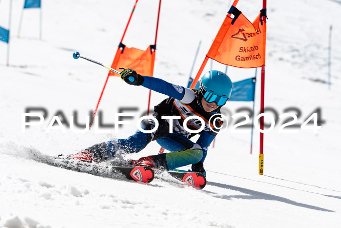 Ziener Cup Finale WF PSL, 30.03.2024 