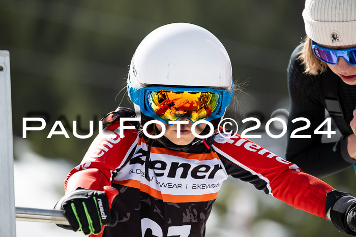 Ziener Cup Finale WF PSL, 30.03.2024 