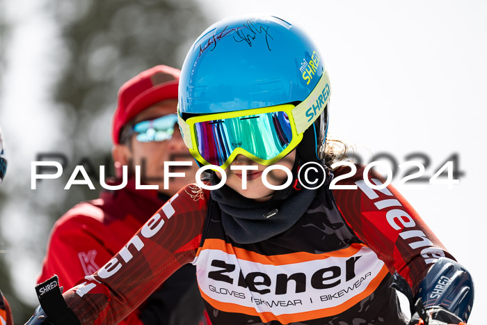 Ziener Cup Finale WF PSL, 30.03.2024 