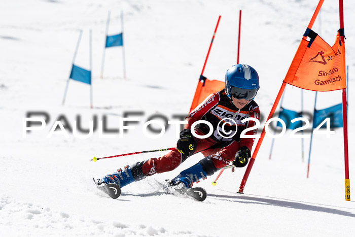 Ziener Cup Finale WF PSL, 30.03.2024 