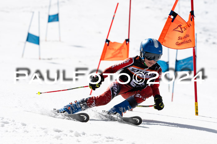Ziener Cup Finale WF PSL, 30.03.2024 
