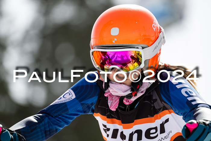 Ziener Cup Finale WF PSL, 30.03.2024 