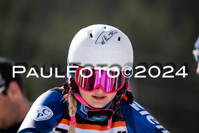 Ziener Cup Finale WF PSL, 30.03.2024 