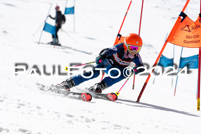 Ziener Cup Finale WF PSL, 30.03.2024 