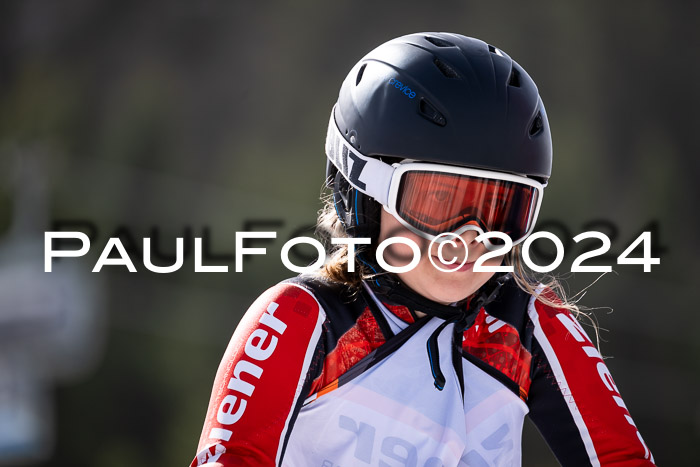 Ziener Cup Finale WF PSL, 30.03.2024 