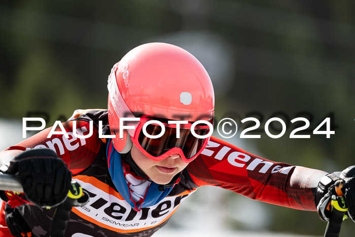 Ziener Cup Finale WF PSL, 30.03.2024 