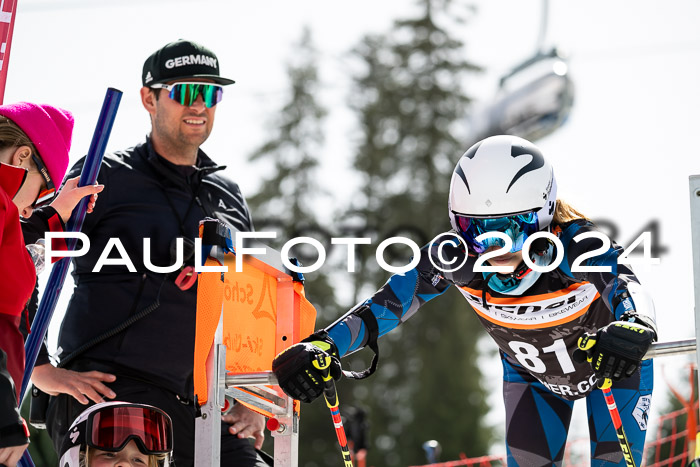 Ziener Cup Finale WF PSL, 30.03.2024 
