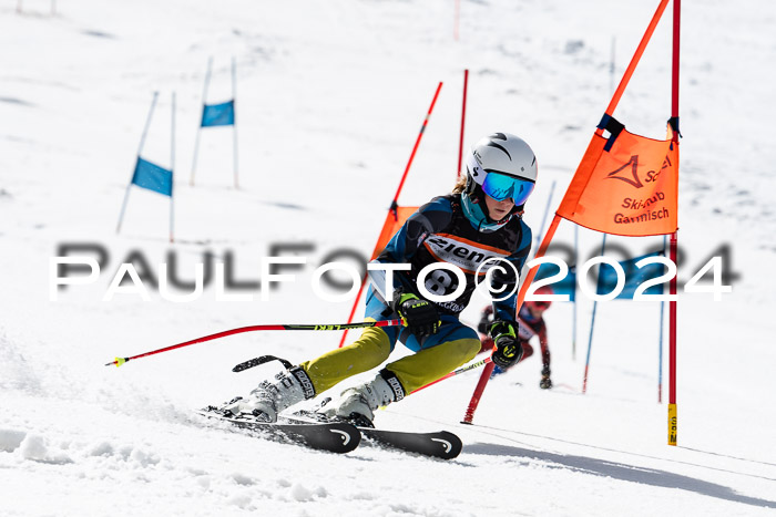 Ziener Cup Finale WF PSL, 30.03.2024 