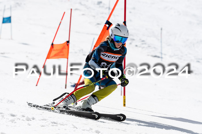 Ziener Cup Finale WF PSL, 30.03.2024 
