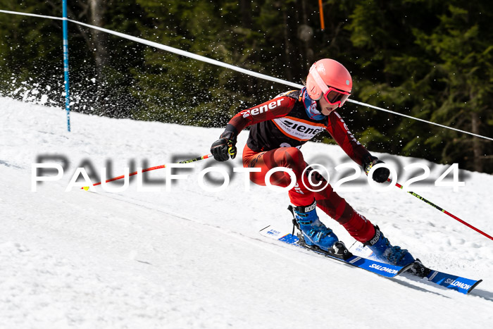 Ziener Cup Finale WF PSL, 30.03.2024 