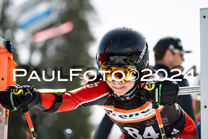 Ziener Cup Finale WF PSL, 30.03.2024 