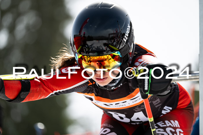 Ziener Cup Finale WF PSL, 30.03.2024 