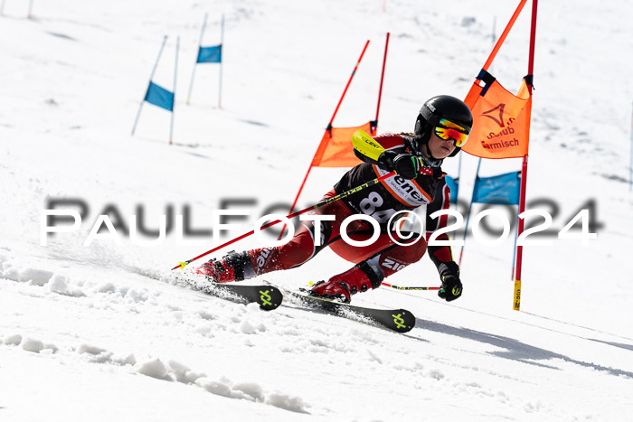 Ziener Cup Finale WF PSL, 30.03.2024 
