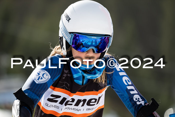 Ziener Cup Finale WF PSL, 30.03.2024 