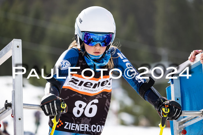 Ziener Cup Finale WF PSL, 30.03.2024 