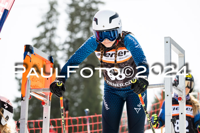 Ziener Cup Finale WF PSL, 30.03.2024 