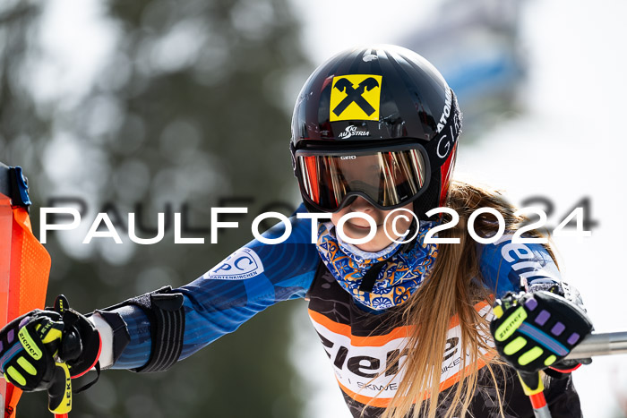 Ziener Cup Finale WF PSL, 30.03.2024 