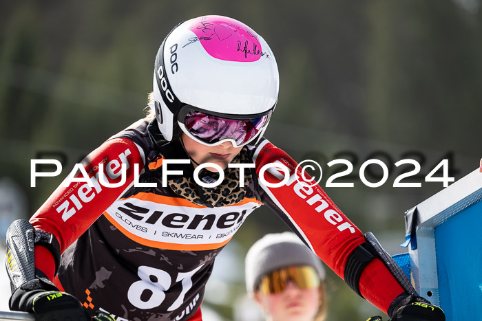 Ziener Cup Finale WF PSL, 30.03.2024 
