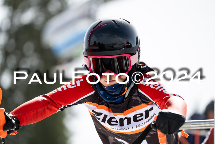 Ziener Cup Finale WF PSL, 30.03.2024 