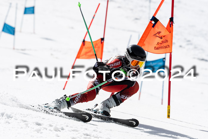 Ziener Cup Finale WF PSL, 30.03.2024 