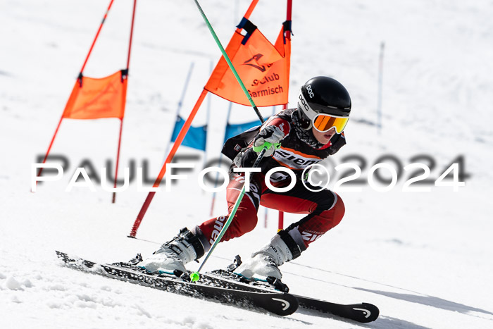 Ziener Cup Finale WF PSL, 30.03.2024 