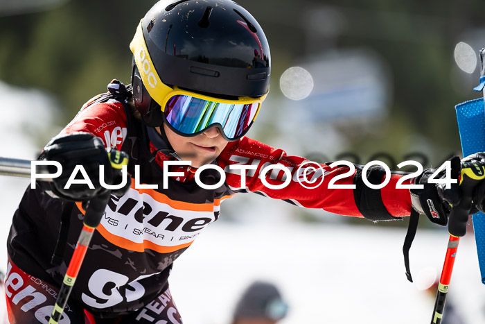 Ziener Cup Finale WF PSL, 30.03.2024 