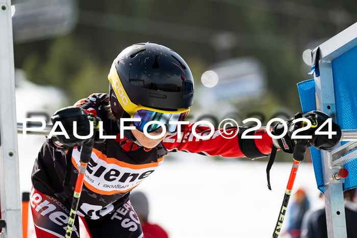 Ziener Cup Finale WF PSL, 30.03.2024 