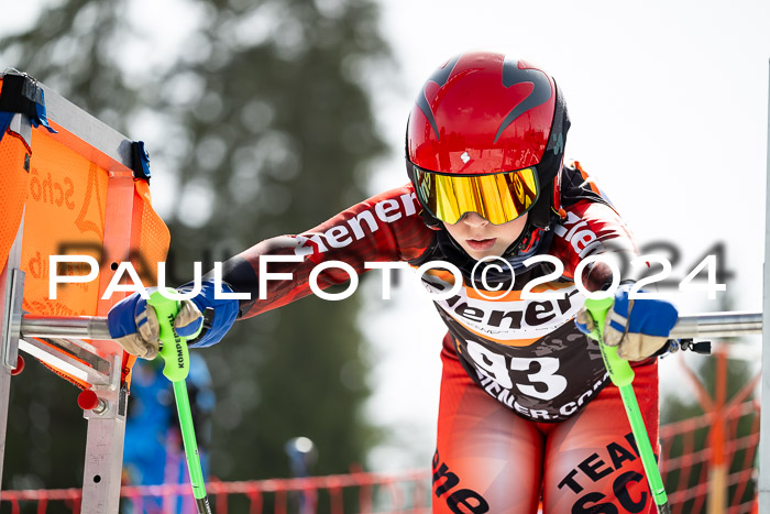 Ziener Cup Finale WF PSL, 30.03.2024 