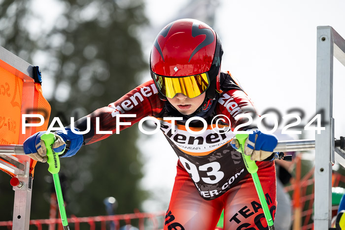 Ziener Cup Finale WF PSL, 30.03.2024 