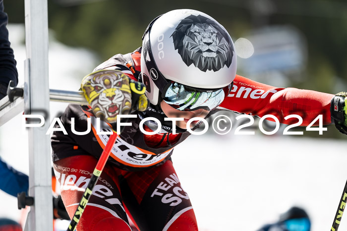 Ziener Cup Finale WF PSL, 30.03.2024 