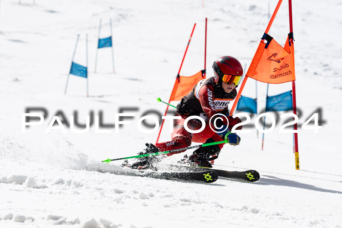 Ziener Cup Finale WF PSL, 30.03.2024 