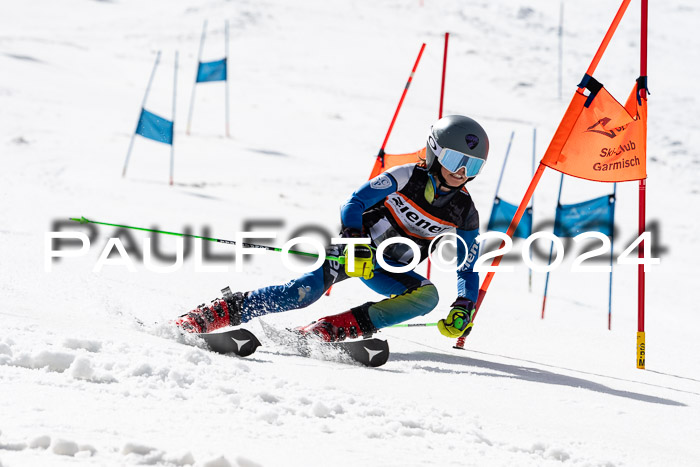 Ziener Cup Finale WF PSL, 30.03.2024 