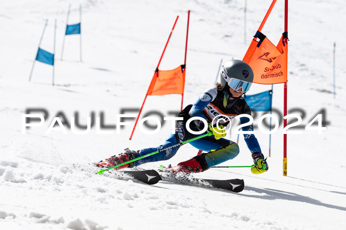 Ziener Cup Finale WF PSL, 30.03.2024 