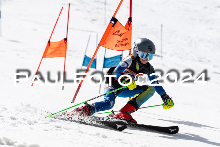 Ziener Cup Finale WF PSL, 30.03.2024 