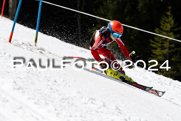 Ziener Cup Finale WF PSL, 30.03.2024 