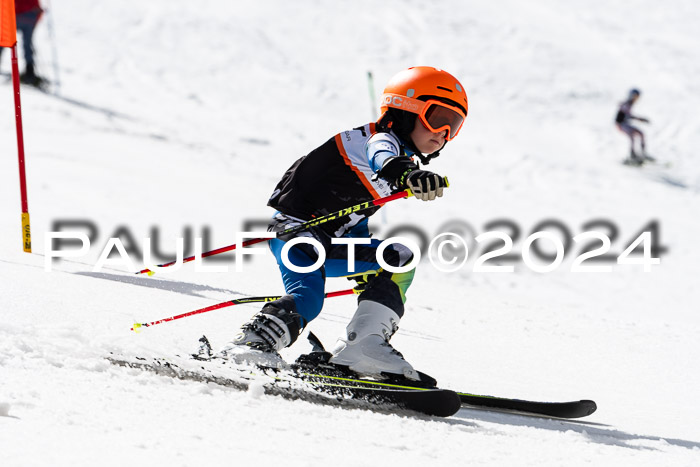 Ziener Cup Finale WF PSL, 30.03.2024 