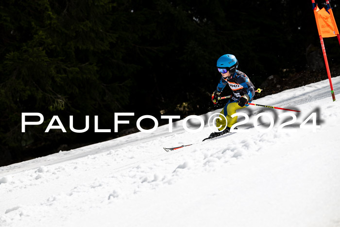 Ziener Cup Finale WF PSL, 30.03.2024 