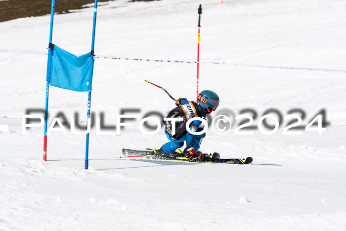 Ziener Cup Finale WF PSL, 30.03.2024 