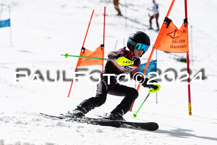 Ziener Cup Finale WF PSL, 30.03.2024 