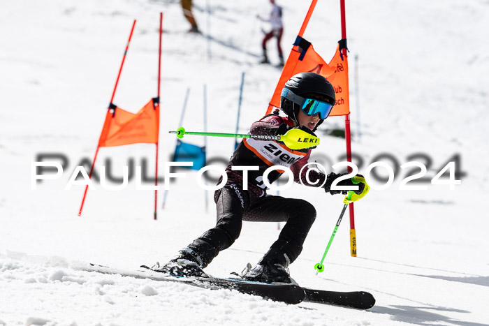 Ziener Cup Finale WF PSL, 30.03.2024 