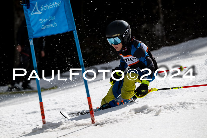 Ziener Cup Finale WF PSL, 30.03.2024 